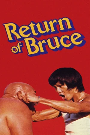 Постер: Return of Bruce