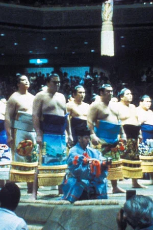 Постер: Maïnoumi, une saison dans la vie d'un lutteur de sumo