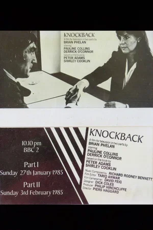 Постер: Knockback: 2