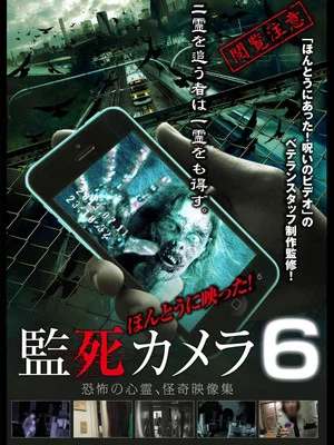 Постер: Paranormal Surveillance Camera 6