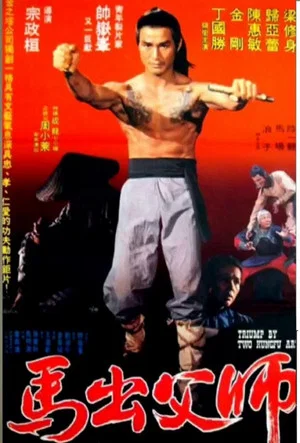Постер: Triumph Of Two Kung-Fu Arts