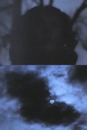 Постер: Black Star