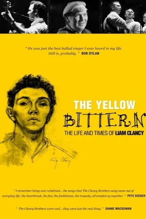 Постер: The Yellow Bittern