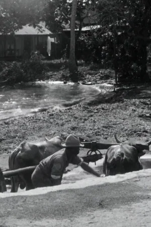 Постер: Guadeloupe, le pays des Belles-Eaux