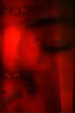 Постер: Sparklehorse