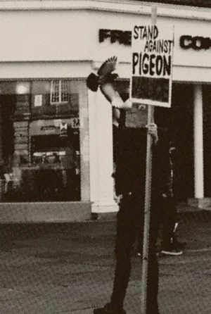 Постер: Pigeon Mafia Takes out the Trash