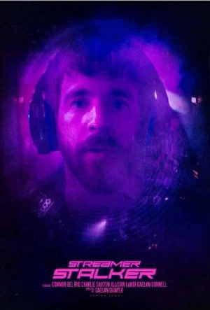 Постер: Streamer Stalker