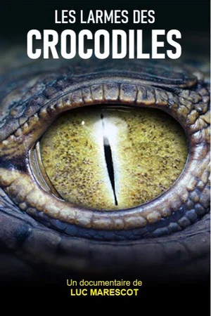 Постер: Les larmes des crocodiles