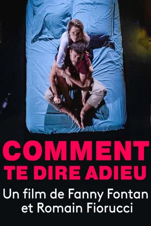 Постер: La France en Vrai - Comment te dire Adieu ?