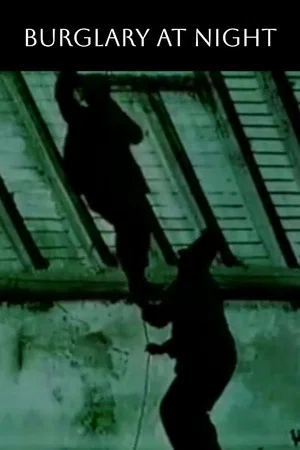 Постер: Burglary at Night