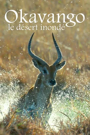 Постер: Kalahari: The Flooded Desert