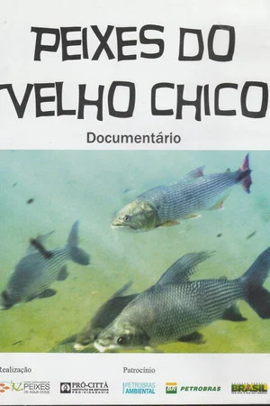 Постер: Peixes do Velho Chico