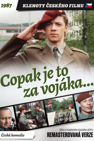 Постер: Who's That Soldier?