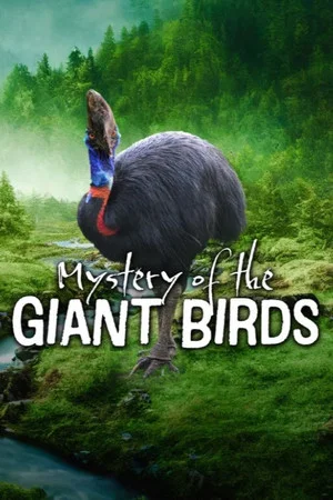 Постер: Mystery of the Giant Birds