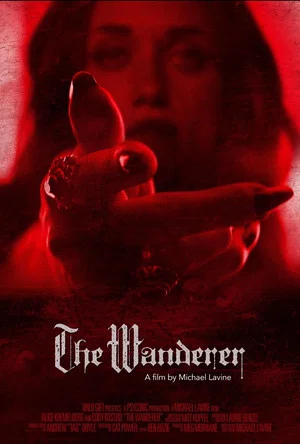 Постер: The Wanderer