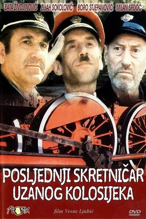 Постер: The Last Switchman of the Narrow Gauge Railway