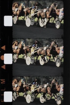 Постер: Chevaux couleur
