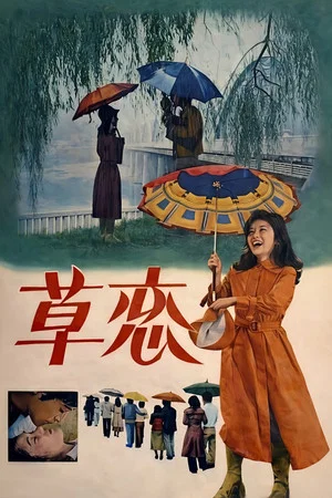 Постер: Love In The Rain