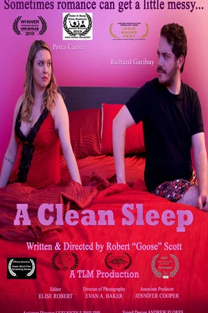 Постер: A Clean Sleep