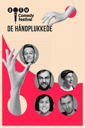 Постер: Zulu Comedy Festival: De håndplukkede