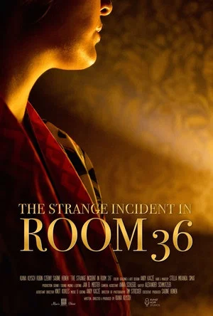 Постер: The Strange Incident In Room 36