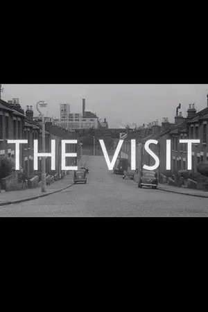 Постер: The Visit