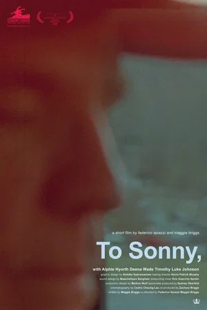 Постер: To Sonny