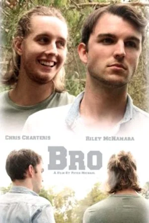 Постер: Bro