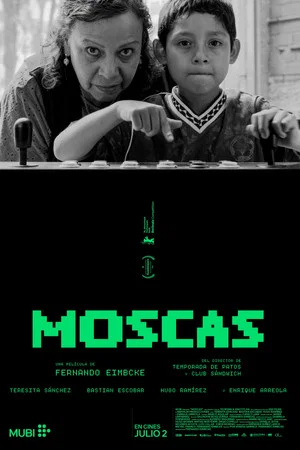 Постер: Flies