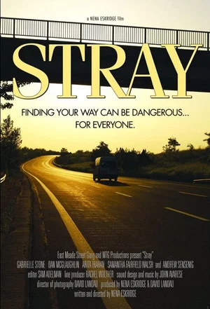 Постер: Stray