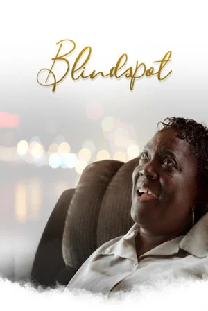Постер: Blindspot
