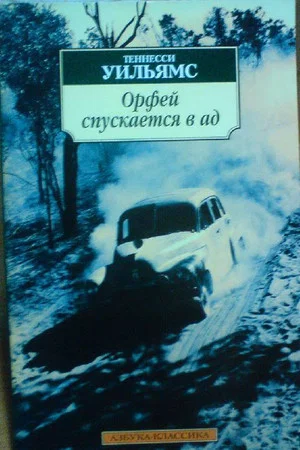 Постер: Орфей спускается в ад