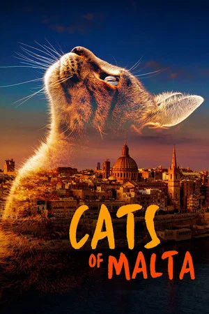 Постер: Cats of Malta