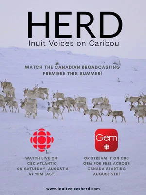 Постер: Herd: Inuit Voices on Caribou