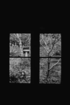 Постер: In and Out a Window