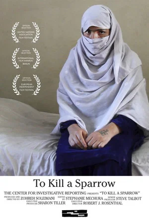 Постер: To Kill a Sparrow