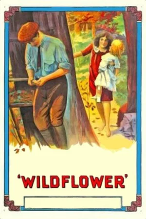 Постер: Wildflower