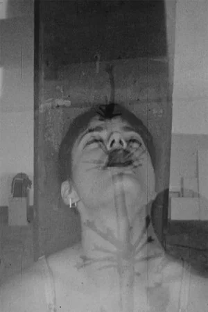 Постер: Safer Sexual Techniques in the Age of Mechanical Reproduction