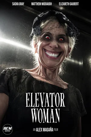 Постер: Elevator Woman
