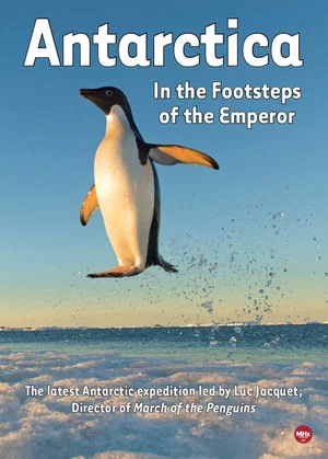Постер: Antarctica, in the footsteps of the Emperor
