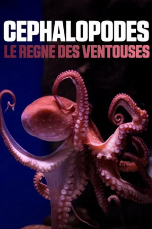 Постер: Cephalopods: The Reign of Suckers
