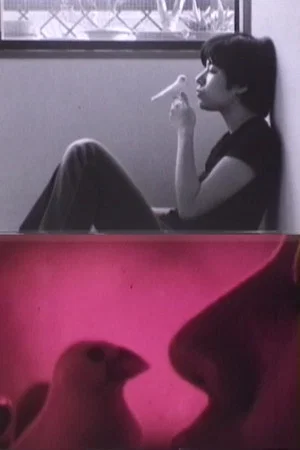 Постер: Dedicated to M