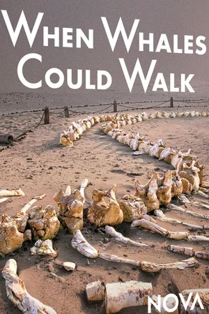 Постер: When Whales Could Walk