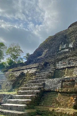 Постер: Ancient Maya Metropolis