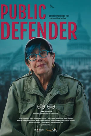 Постер: Public Defender