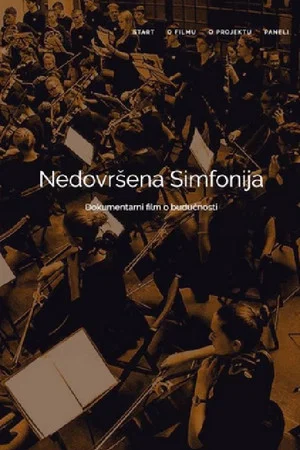 Постер: Unfinished Symphony