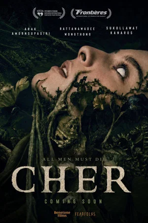 Постер: Cher