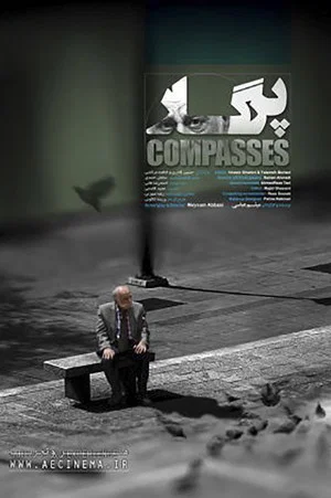 Постер: Compasses