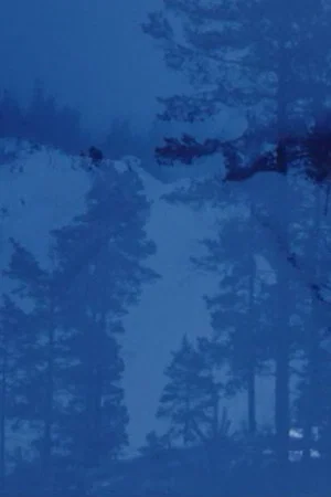 Постер: Winterfarbe II