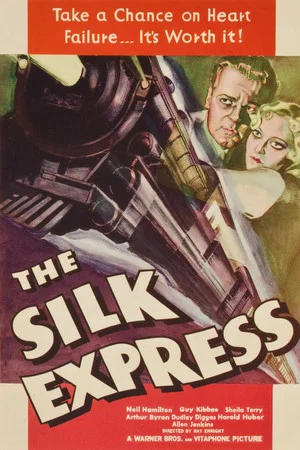 Постер: The Silk Express